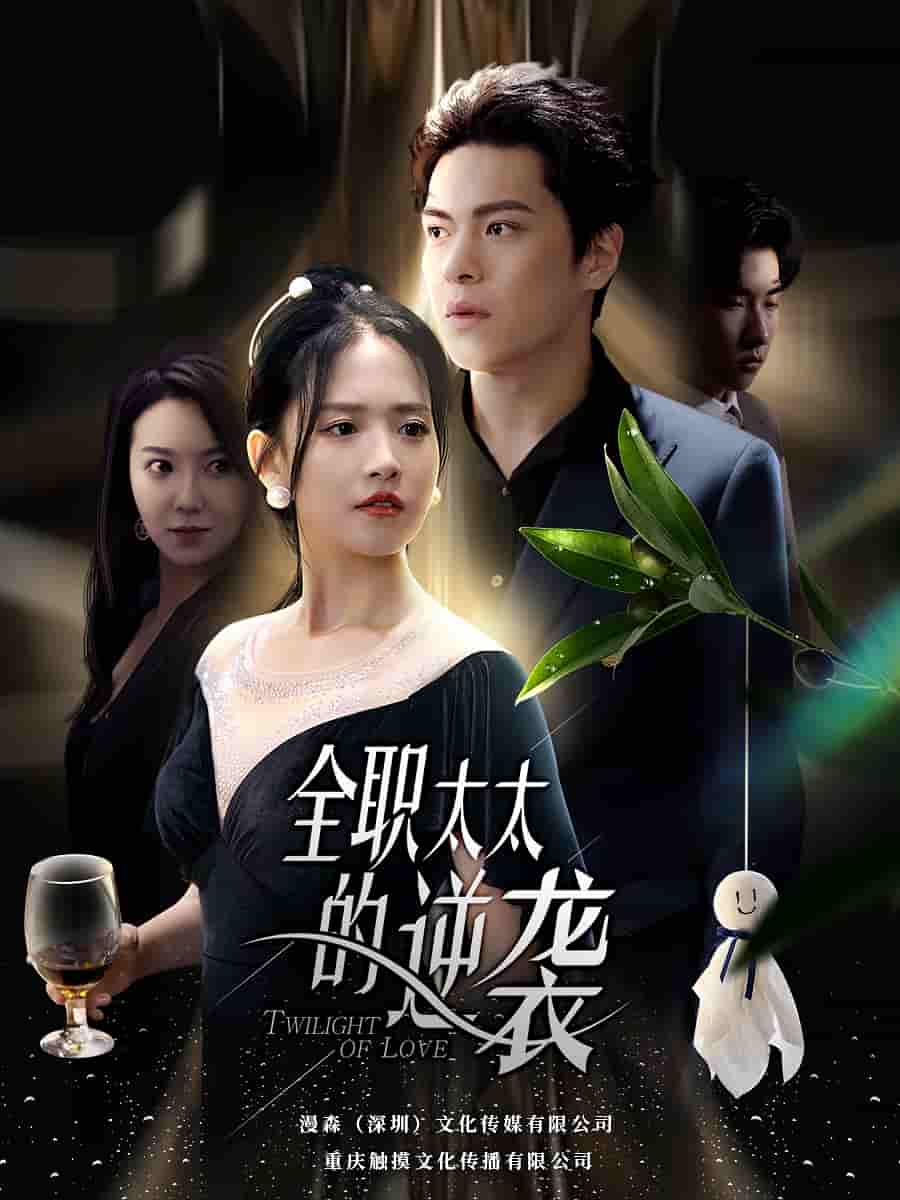 全職太太的逆襲第53集