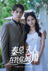秦總，夫人在找你離婚(全集)