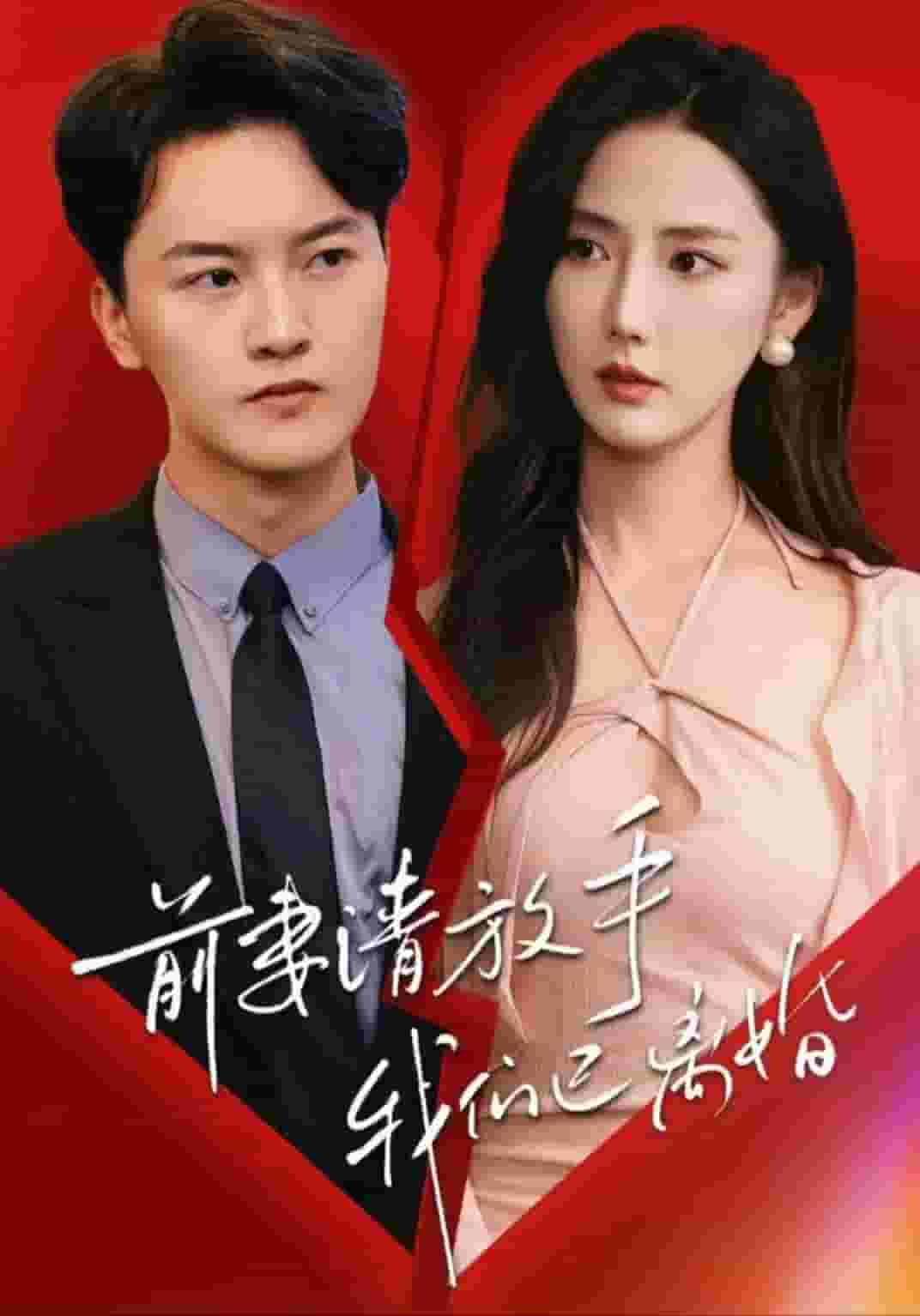 前妻請(qǐng)放手，我們已離婚(全集)