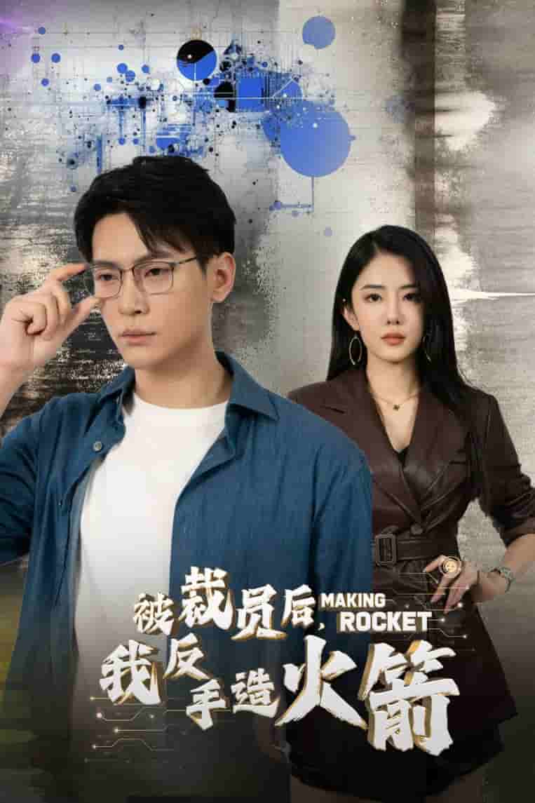 被裁員后，我反手造火箭(全集)