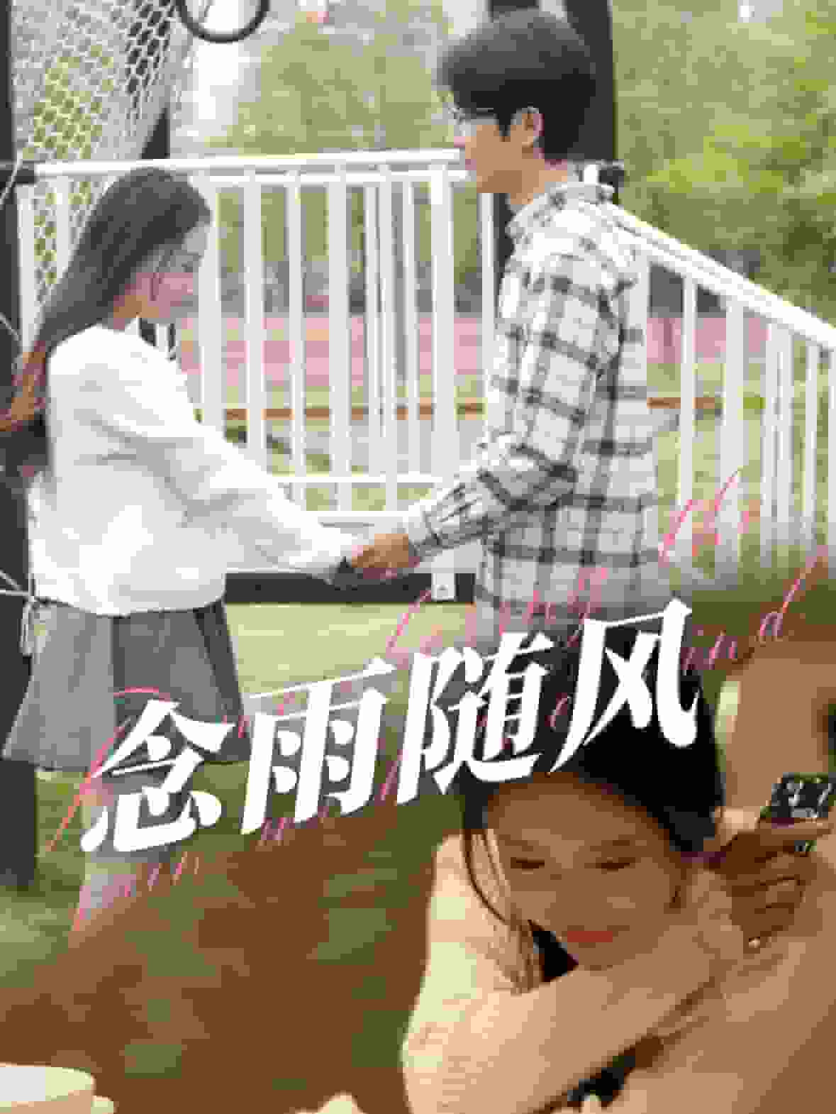 念雨隨風(全集)