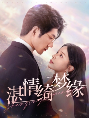 湛情琦夢緣第19集