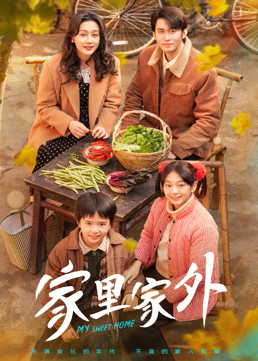 家里家外 短劇版第62集