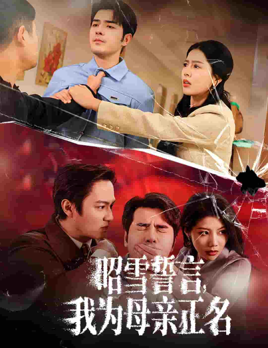 昭雪誓言我為母親正名(全集)