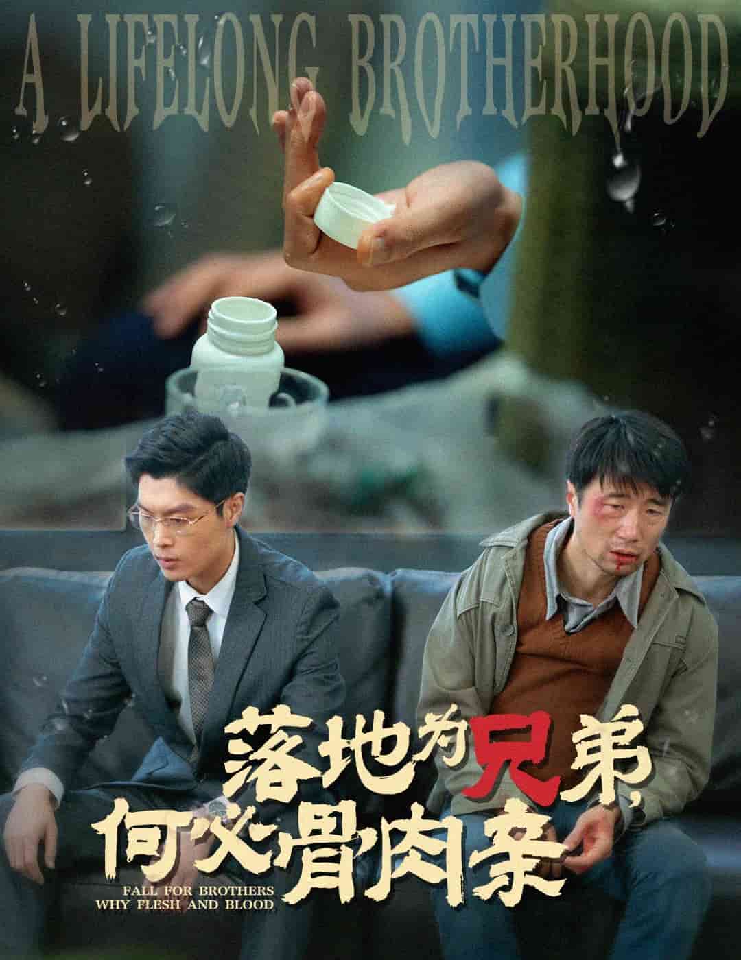 落地為兄弟，何必骨肉親(全集)