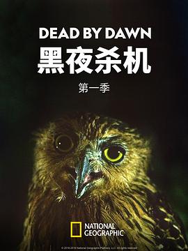 黑夜殺機(jī)第一季(全集)